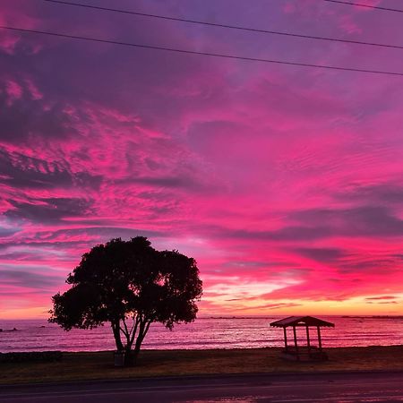 The Anchor Inn Beachfront Motel Kaikoura Esterno foto